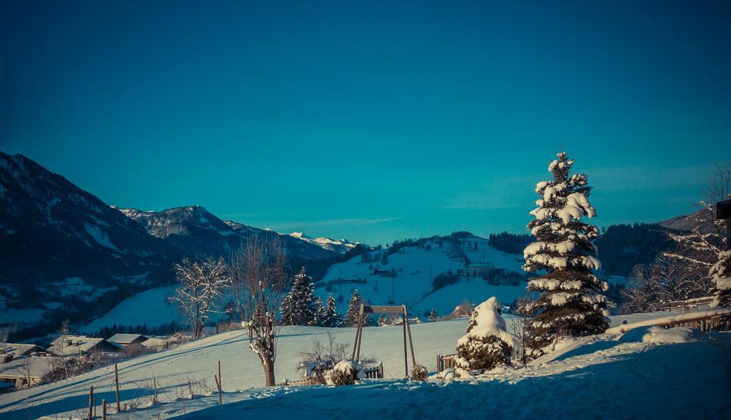 Sonnhof By Vitus Winkler Sankt Veit im Pongau Exterior foto